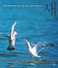 new book