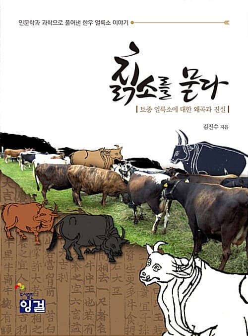 메인이미지