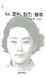 메인이미지