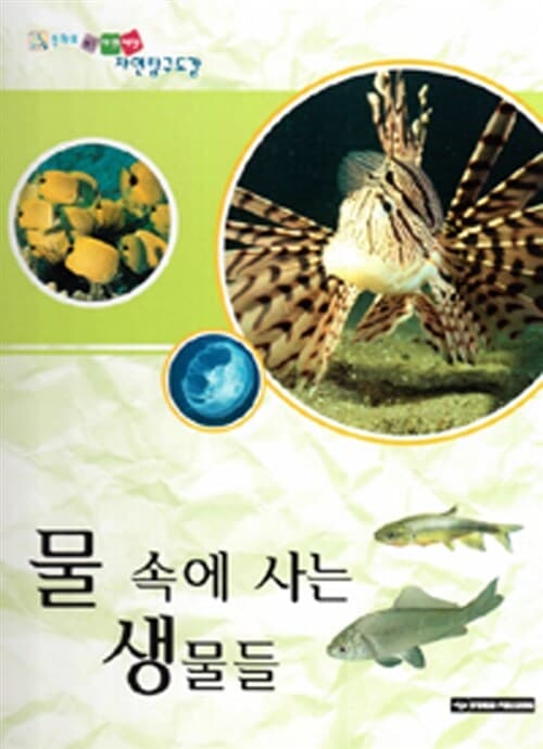 메인이미지