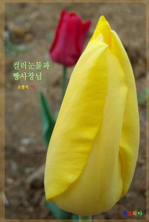 메인이미지