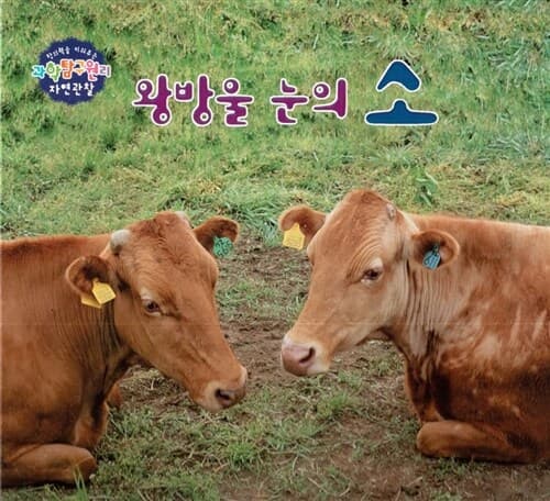 메인이미지