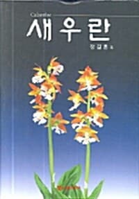 new book