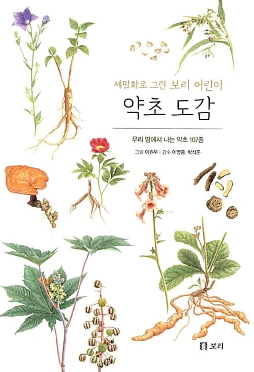 메인이미지