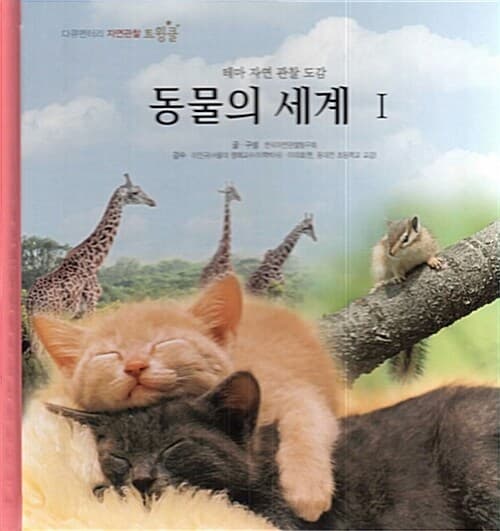 메인이미지