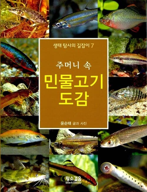 메인이미지